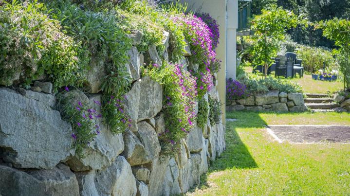 Travaux de terrassement Les Ancizes-Comps